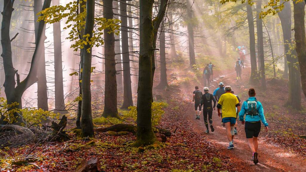 FLOCK-GROUP-TRAIL-RUNS