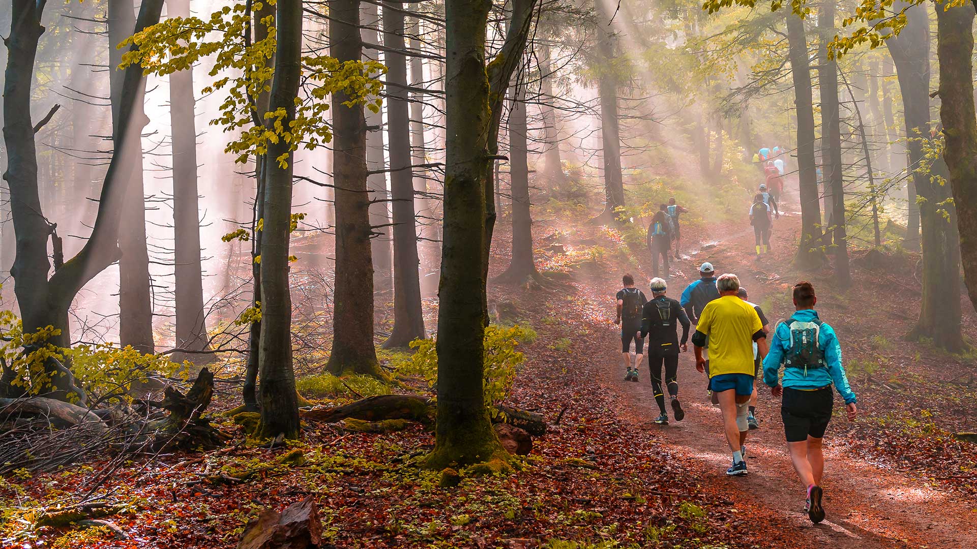 FLOCK-GROUP-TRAIL-RUNS