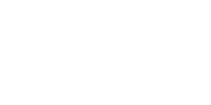 SKIP LOGO